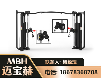 九江大飞鸟训练器